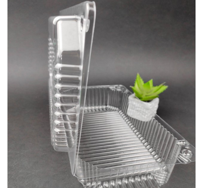 Контейнер ПС-121 блістерний пластиковий, 210*110*70 мм (кратність продажу – 50 шт)